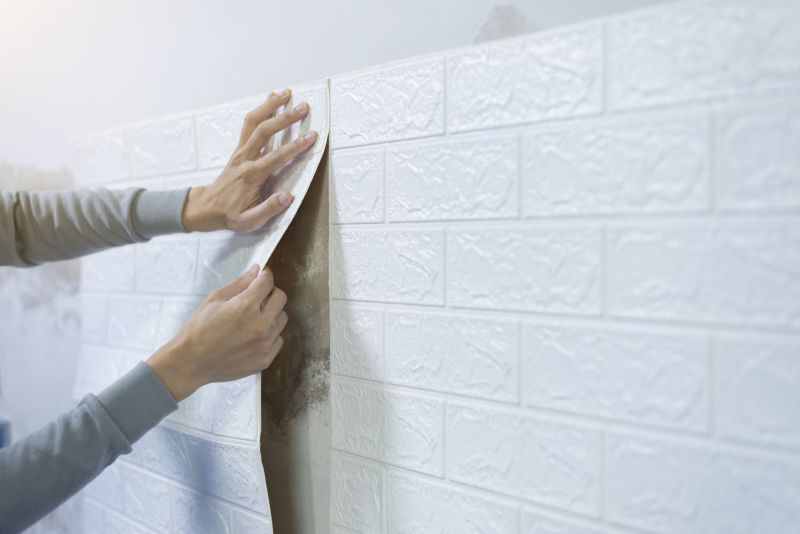Wall Covering Installation in Conroe, TX